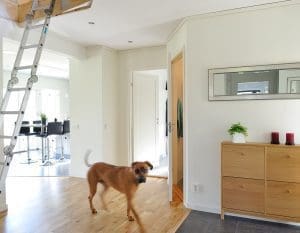 Bygga energisnålt hus - hall