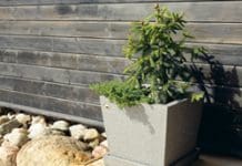Krukor i kvadrat! krukor