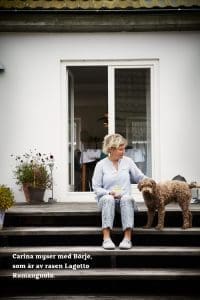 Om att putsa fasad: paret lade ny puts på gammal lanthandel 4 Putsa fasad själv - paret gjorde det på egen hand