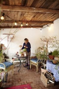 Odlarglädje i gunnel carlssons orangeri 2 Odlarglädje i Gunnels orangeri 1