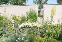Planera perennrabatt – Milda pasteller eller DJÄVULSKT ELDIGT… Perennrabatt