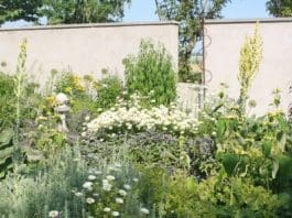 Planera perennrabatt – Milda pasteller eller DJÄVULSKT ELDIGT… Perennrabatt