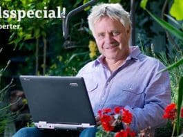 Vad ska jag plantera i mina krukor? Vad ska jag plantera i min krukor