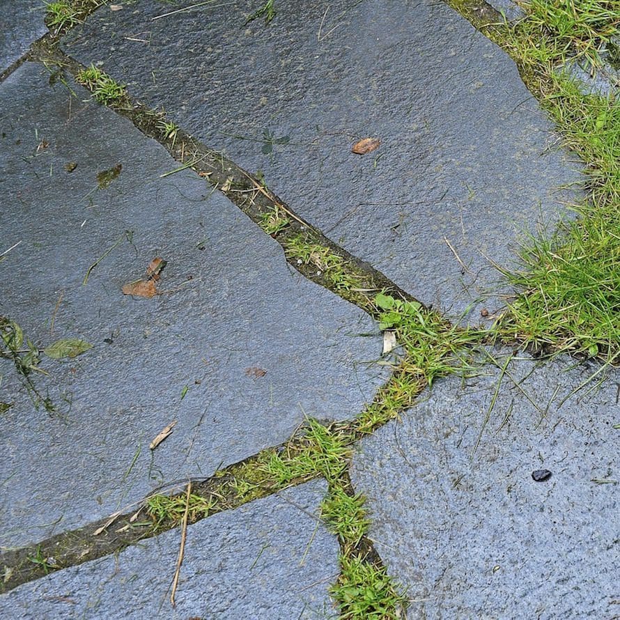 Trädgårdsgolv villaliv