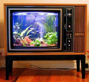 Smarta idéer_AkvariumTV_Villaliv