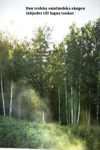 Spabad med utsikt! 7