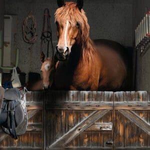 Styla garageporten 2 Styla garageporten 4