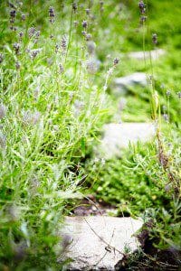 Tre sköna trädgårdsrum, ute och inne 12