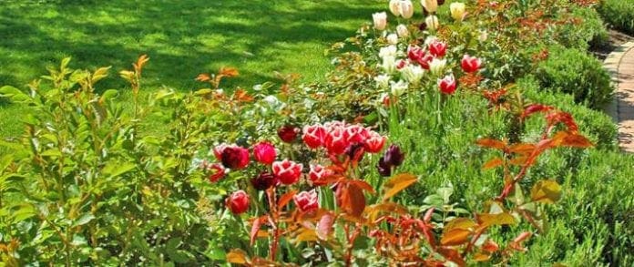 Buda hem trädgården med Garden to home Interflora