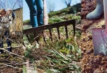 Dags för vårsysslor i trädgården! Vårsysslor