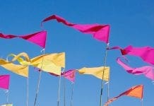 Vackra vimplar! Vimplar i olika färger