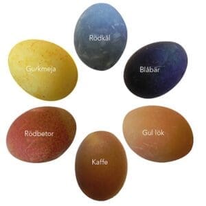 Ägg_Villaliv