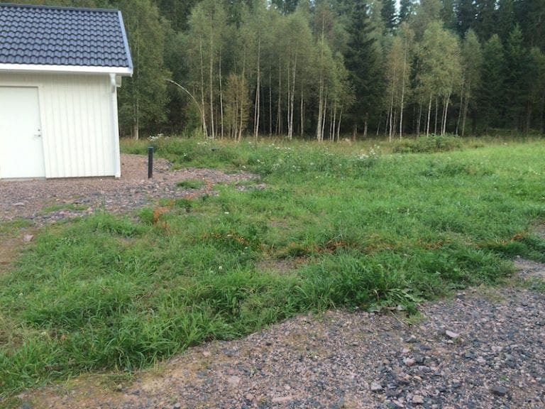 Hur klargör man tomtgränser? 5 kontrollera taket efter sommaren 4