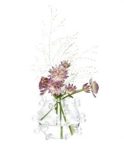 Glasvaser