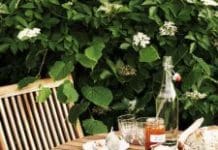 Om att bygga berså – tips och idéer för din trädgård Frukost i bersån