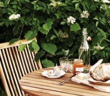 Om att bygga berså – tips och idéer för din trädgård Frukost i bersån