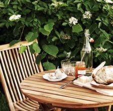 Om att bygga berså – tips och idéer för din trädgård Frukost i bersån