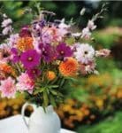 Trädgårdskalendern augusti