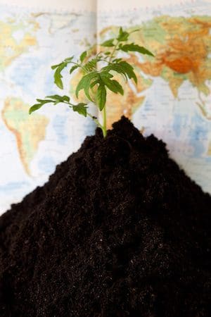 Jordåret. Värdefull odlingsbar jord