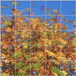Tiles of Sweden Jj 8580 Autumn Leaves
