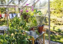 Odla i växthuset Odla i växthus-interiör