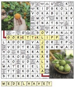 Korsordet Villaliv nr 5 FACIT