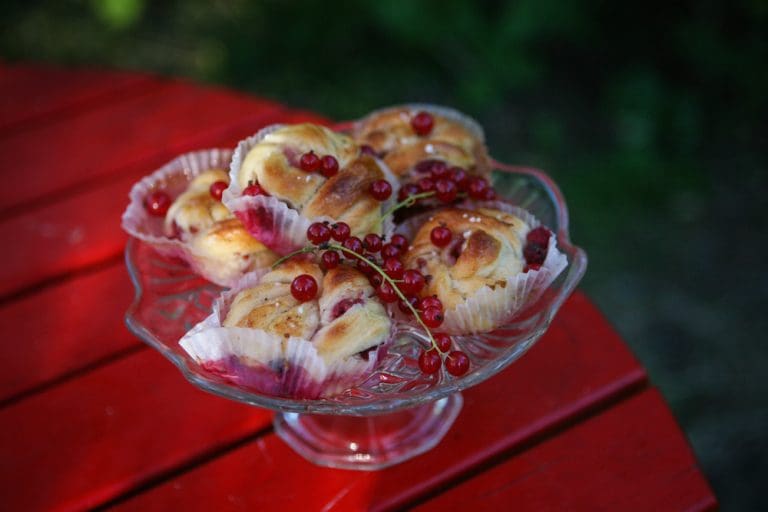 Kalljästa bullar med vinbärsfyllning 5 kycklingsallad 4