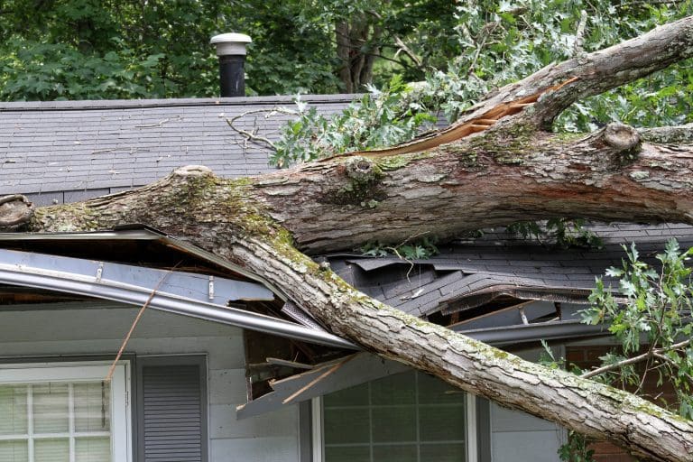 stormdrabbat hus 1