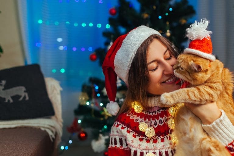 Faror för din hund och katt i jul 5 julstämning 5