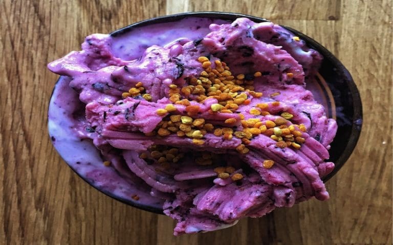 Blåbärsglass med endast tre ingredienser 5 kycklingsallad 4