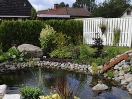 Anlägga trädgårdsdamm