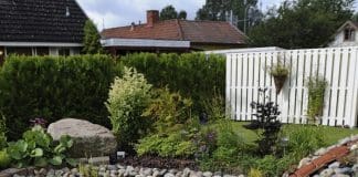 Anlägga trädgårdsdamm steg för steg Anlägga trädgårdsdamm