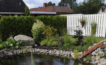 Anlägga trädgårdsdamm steg för steg Anlägga trädgårdsdamm