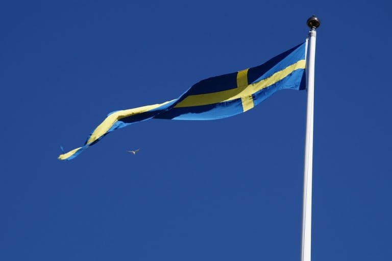 dränering 5