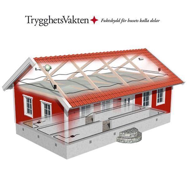 Slipp fukt på kallvinden med effektiv avfuktare, Vecka 16