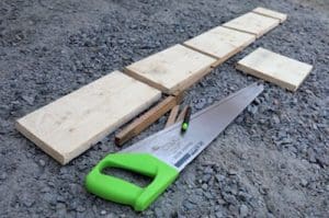 Få en friskare trädgård - gilla djurlivet! 2 1