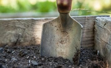 Odlingsmyter – sant eller falskt?