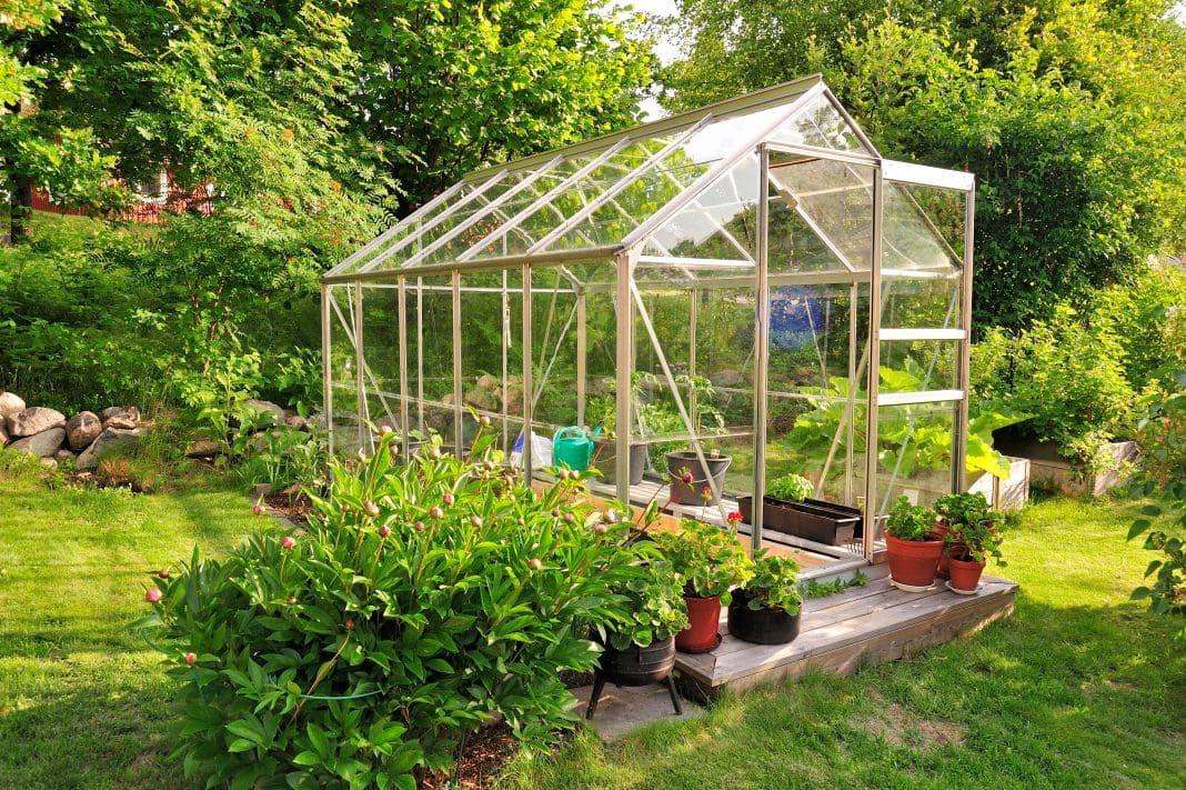 A garden center greenhouse with a colorful display of potted pla