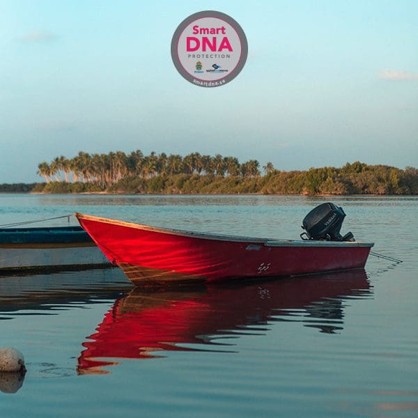 Skydda din båt med ett unikt dna, vecka 4 1 Skydda din båt med ett unikt DNA, Vecka 4