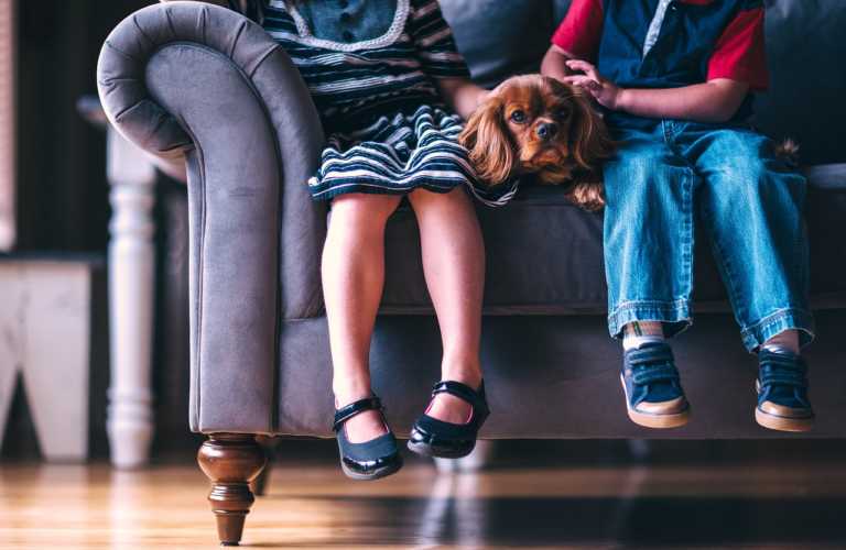 Här är knepen för att få din hund rumsren 6 adoptera hund 5