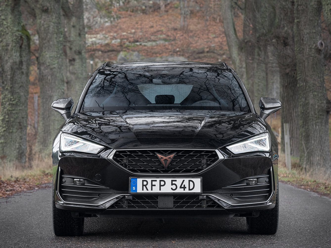 seat leon cupra r