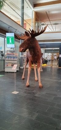 roadtrip sverige 7