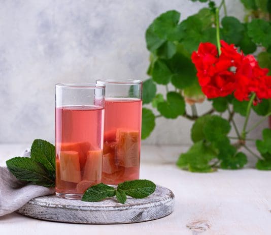 Rabarbersnaps – recept rabarbersnaps