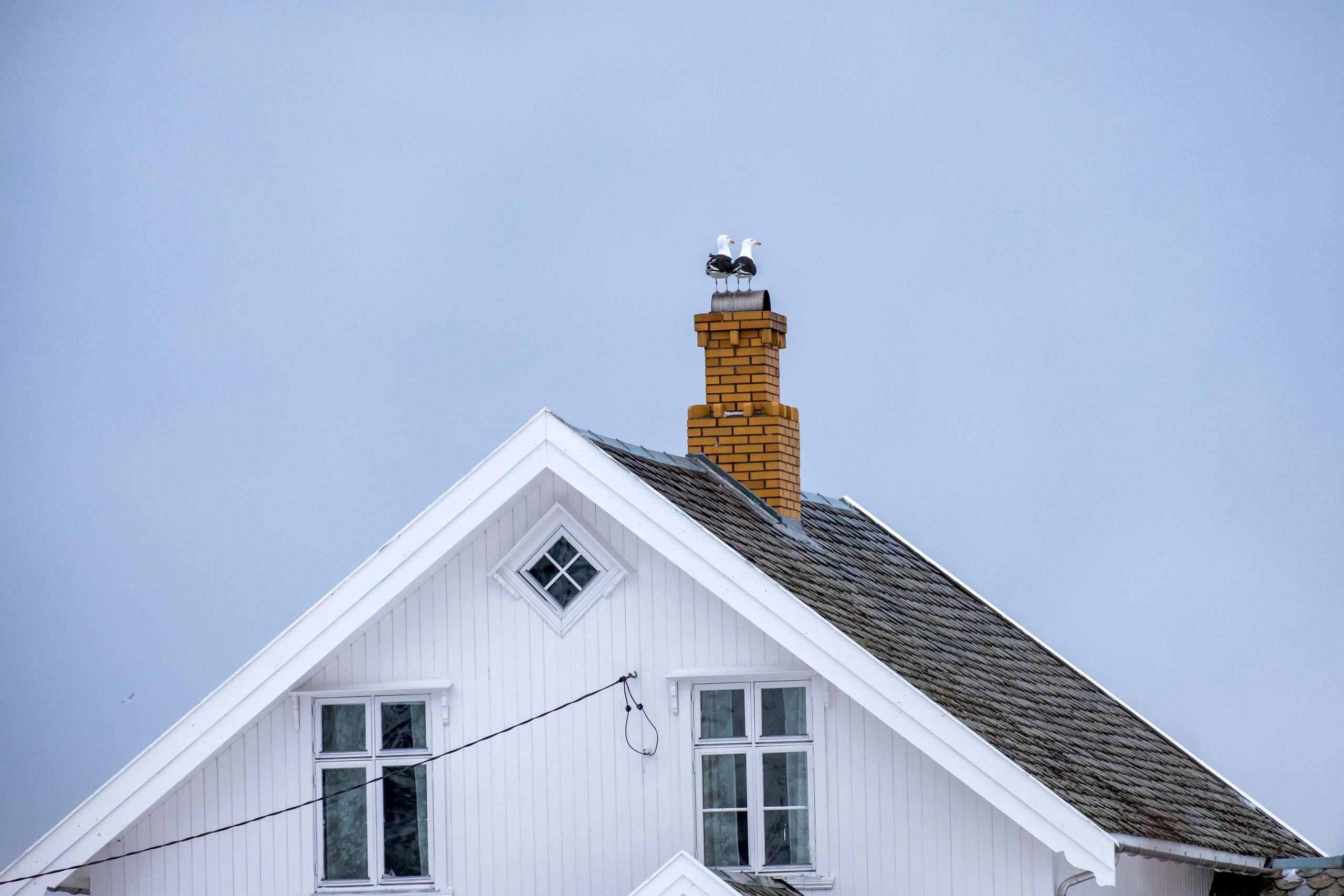Vad pågår här egentligen? Expert svarar på frågor om fukt och mögel 1 1