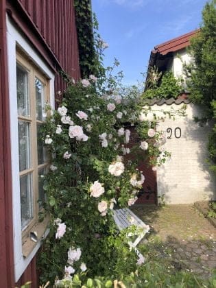 Tredjeplats Sveriges Mysigaste Hem 2021 15