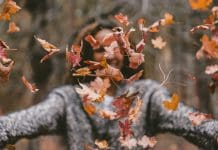 Huslivet – Trädgård och hem i oktober
