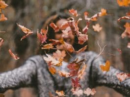 Huslivet – Trädgård och hem i oktober