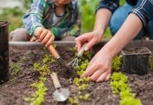 Skapa en Köksträdgård – 5 Tips för en Grönare Matlagning köksträdgård