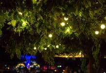 Lys upp ute: Stämningsfull miljö med rätt belysning