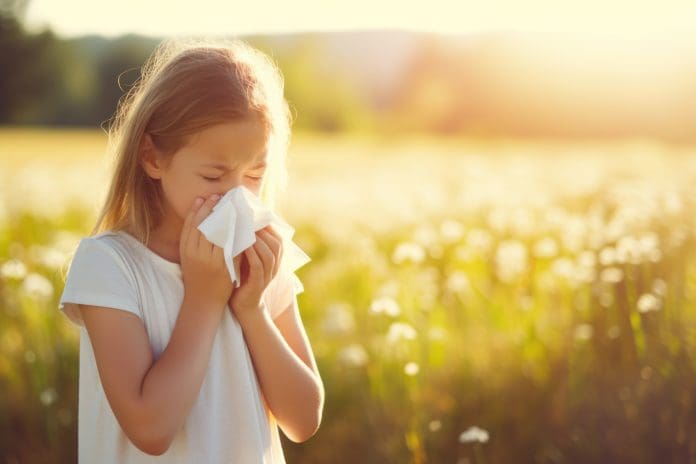 luftrenare mot pollen